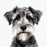 Profilbild von 許文彥