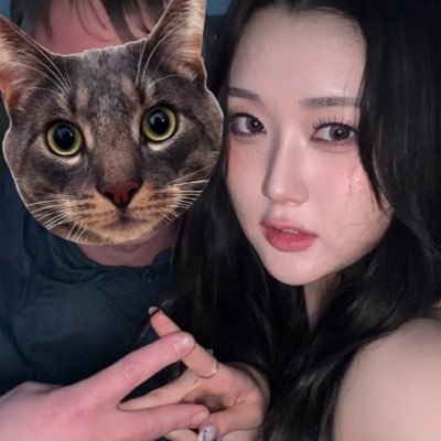 _tribedaloca's profile picture