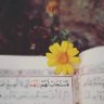 بنــت العــديّــة 🇸🇾 ღ's profile picture