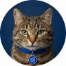 Murmur's profile picture