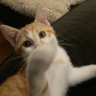 Ravi Hoving profil fotoğrafı