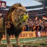 Фото профиля musa koyuncu