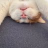 Profilbild von アンチが1番ダサいよな笑