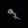 Revi's profile picture