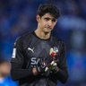 Al-Hilal's profile picture