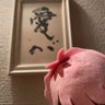 Фото профиля てまり 39 🗝️🥀🐈.。 ・*❄︎