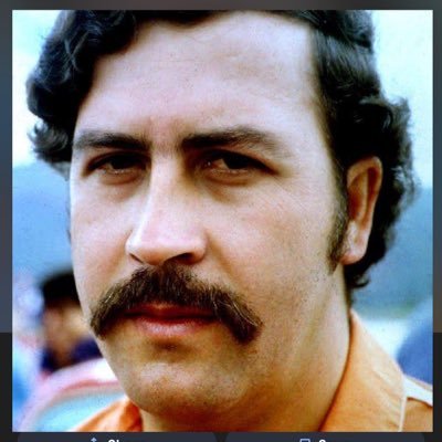donColeonn's profile picture