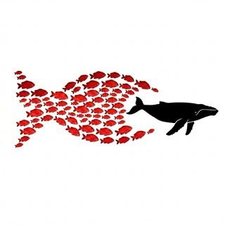 Balina_avcisi_Y's profile picture