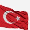 X🇹🇷🇵🇸 的头像