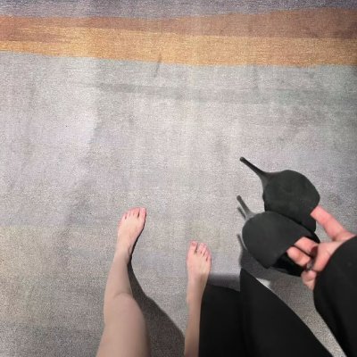 Carol 🐰's profile picture
