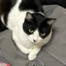 Фото профиля わわわんわ😻