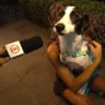anitta_-_noites_traiçoieras.mp3 ✨'s profile picture