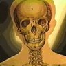 froiwnl's profile picture