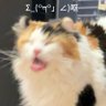 C4H8OS's profile picture