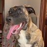Vera britto's profile picture