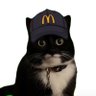 シオ's profile picture