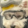 俊's profile picture