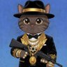 captain_Schrödinger_cat's profile picture