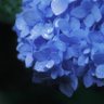 Фото профиля aki（晶）