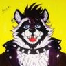 Shiny ⛧ RACCOON 🦝 的头像