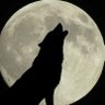 犬頭's profile picture