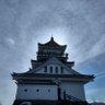 Фото профиля ひろ