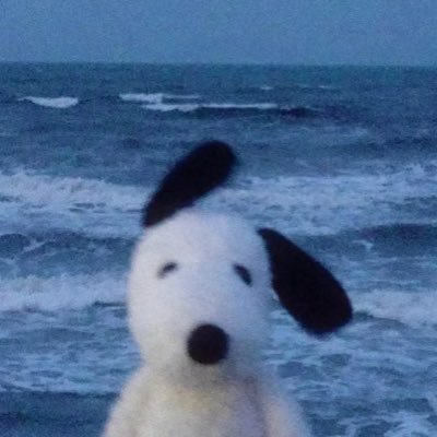 chan ⛤'s profile picture
