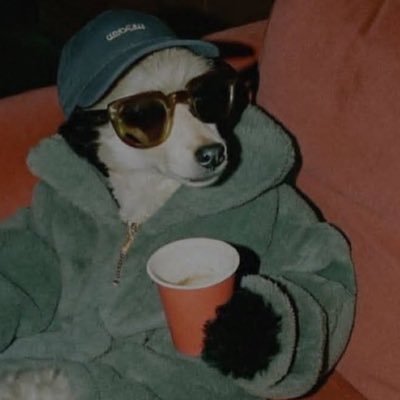 mjhollanov's profile picture