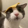 harth's profile picture