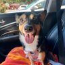 Fightir's profile picture