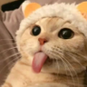 Profilbild von kheiy Rebullar