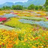 てんらん 的头像