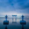 🌊 日本が劣化している 🌌's profile picture