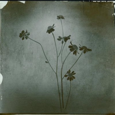 ArianaStanTokyo's profile picture