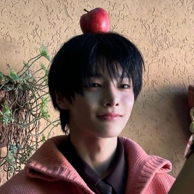 PinNoodles's profile picture