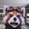 Qiqi👍's profile picture