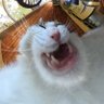 Sebastián Gz profil fotoğrafı