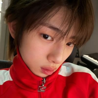 🐢🐶's profile picture