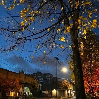 master115108's profile picture
