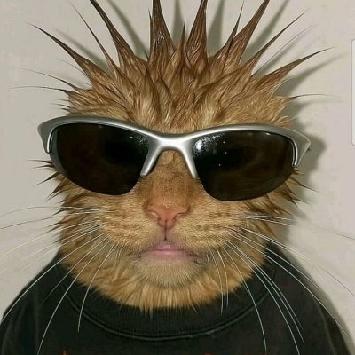 luhpeep's profile picture