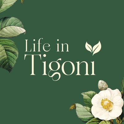 LifeinTigoni's profile picture
