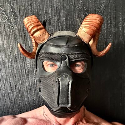 GallopGams's profile picture