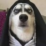 Фото профиля Blair