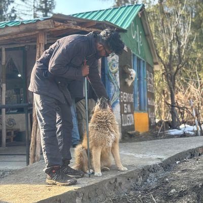 mutatedvazha's profile picture