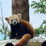 ShebK profil fotoğrafı
