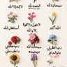 Фото профиля Amani Ziz