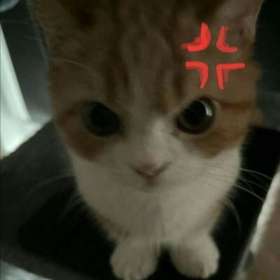 yayee94's profile picture