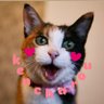 kencharou's profile picture