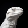 mRugly.zsh profil fotoğrafı