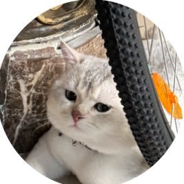 Vysi_'s profile picture